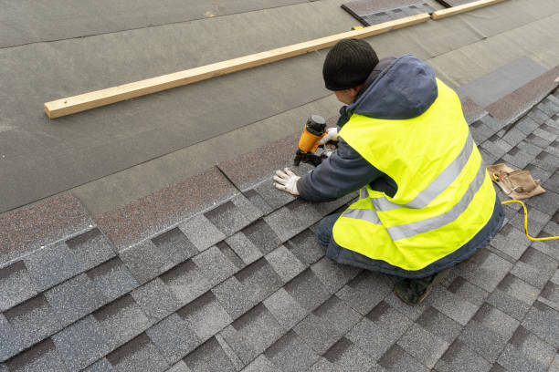 Best Roof Maintenance Services  in Wardsville, MO