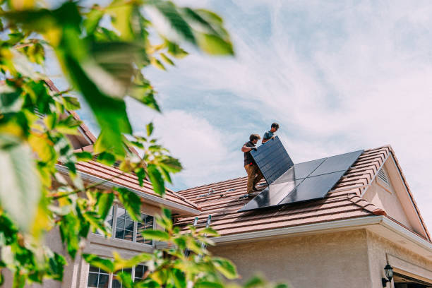 Best Roof Gutter Cleaning  in Wardsville, MO