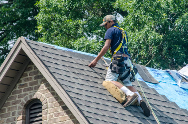 Best Gutter Installation and Roofing  in Wardsville, MO